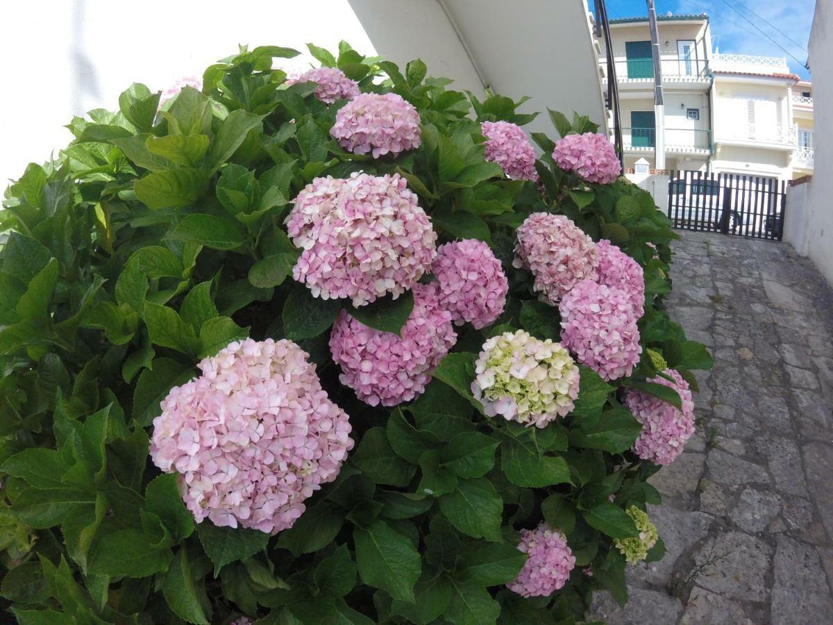 Stella'S House Villa นาซาเร ภายนอก รูปภาพ